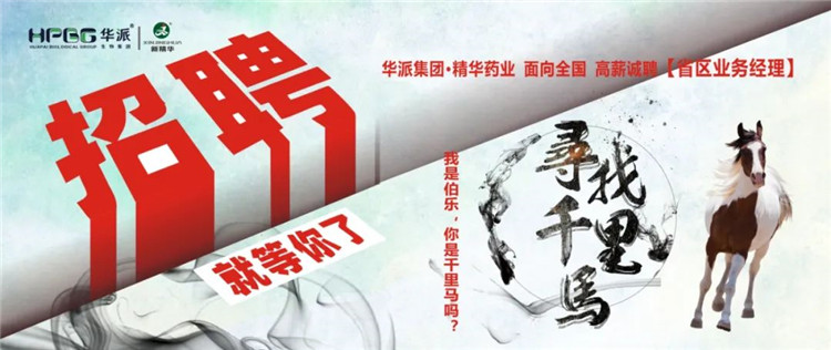 寻找千里马 | 华派集团&bull;万利官网入口药业面 向天下高薪诚聘【省区营业司理】 我是伯乐，，，，，你是千里马吗？？？？？？？？