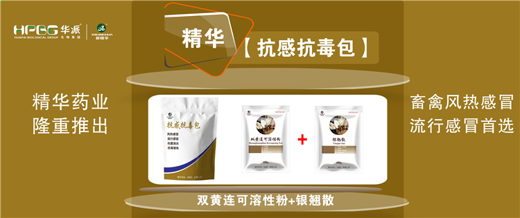 科普：几种常见畜禽伤风与盛行性伤风的防控 |【抗感抗毒包】抗菌消炎、解热排毒、抗毒增免，，，，，，，，畜禽风热伤风、盛行伤风首选!