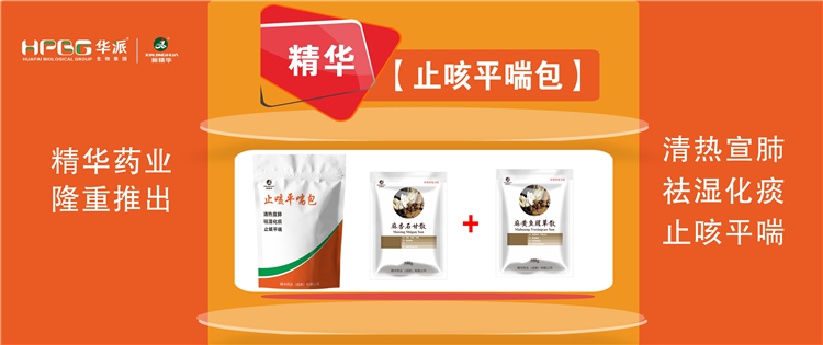 科普：畜禽呼吸道疾病的防控手艺 |【止咳平喘包】清热宣肺、祛湿化痰、止咳平喘，，，，，，，，畜禽呼吸道疾病引起的种种咳喘防控首。。。。。。