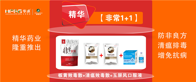 科普：非洲猪瘟防控步伐 |【很是1+1】防非良方, 清瘟排毒、增免抗病，，，，，，，，加速猪瘟抗体爆发!