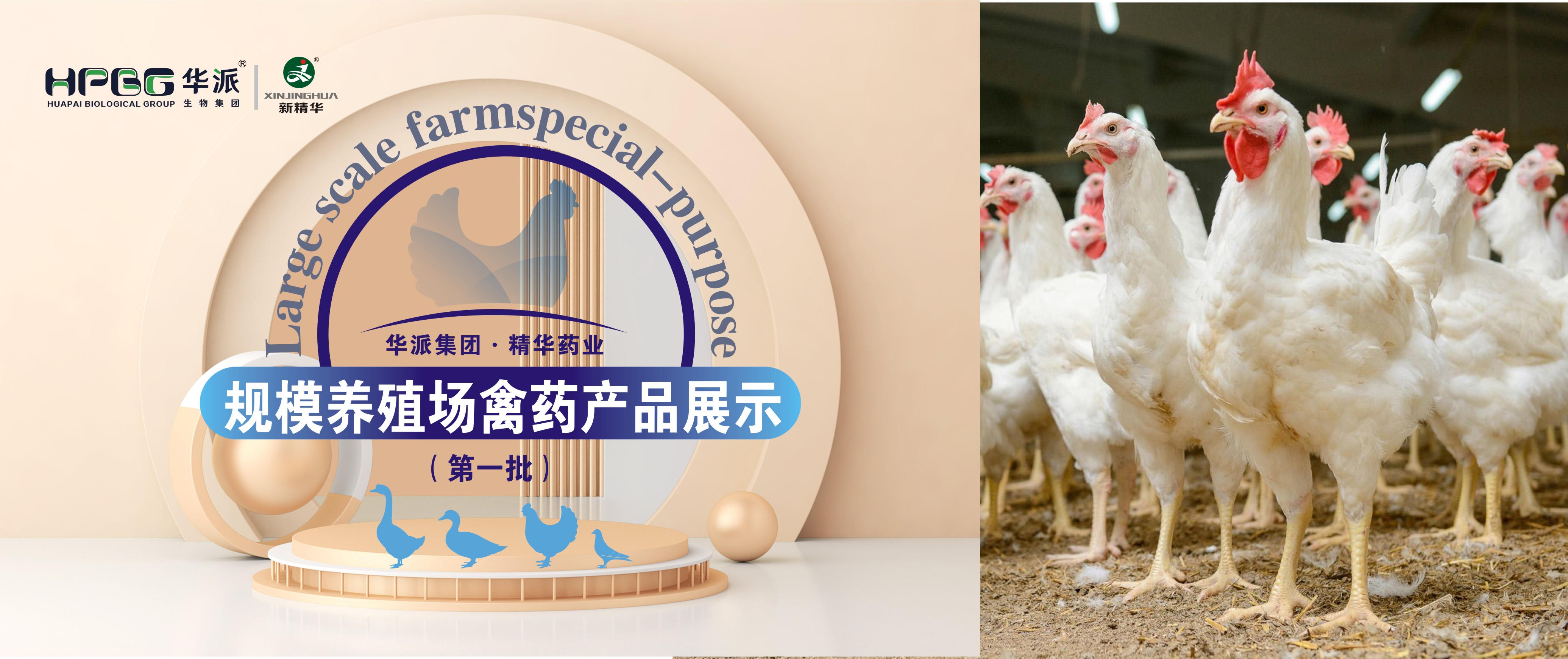 规；；；；；；；；吵∽ㄓ | 华派集团&middot;万利官网入口药业规；；；；；；；；吵∏菀┎氛故荆ǖ谝慌